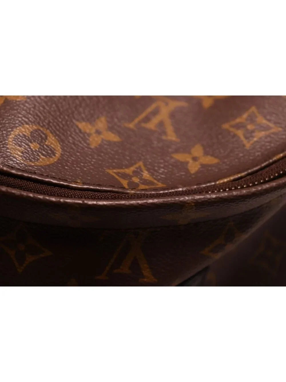 Louis Vuitton Palm Springs MM Monogram Backpack